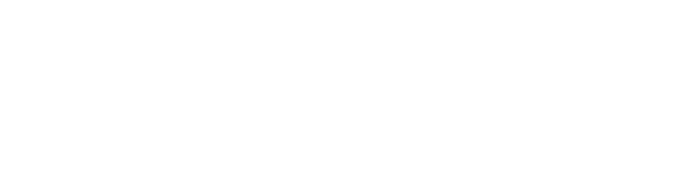 Varai - LedgerLogic client logo